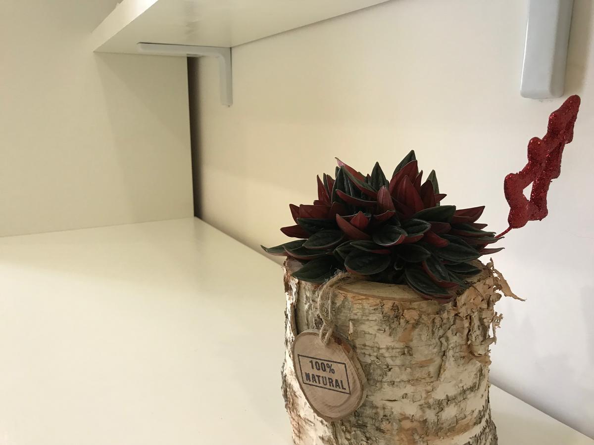 Terrazza Aragon Room And Spa ナポリ エクステリア 写真